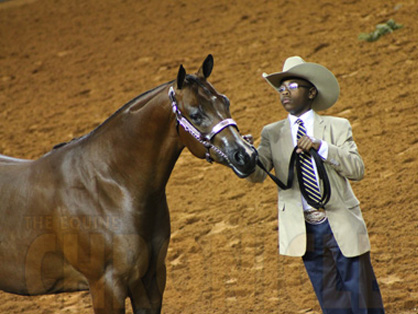11-year-old Caleb Fields May be First African American Youth to Win AQHA Halter World Title