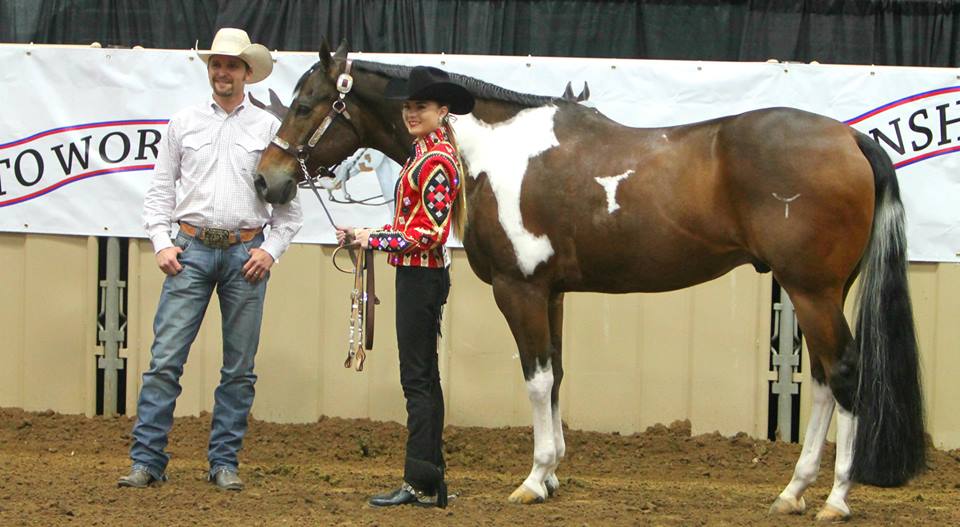 Day 8 Photos and Results From 2014 Pinto World Show Equine Chronicle