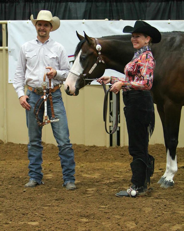 Day 8 Photos and Results From 2014 Pinto World Show Equine Chronicle
