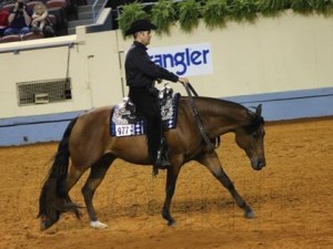 Jason Martin aboard Harley D Zip during his final performance at the AQHA World Show.