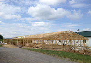 New barn construction is underway!
