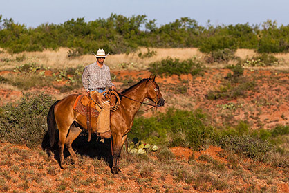 waggoner legendary purchased rams kroenke stan ranch nfl million largest owner estimated advisors
