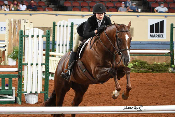 2021 AQHA Youth World Schedule Now Online | Equine Chronicle
