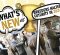What’s New At Breeders Halter Futurity In 2024?