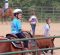 The Summer Camp of Jeremy May Show Horses