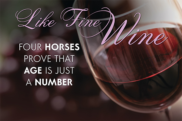 Like Fine Wine: Four Horses Prove That Age Is Just A Number