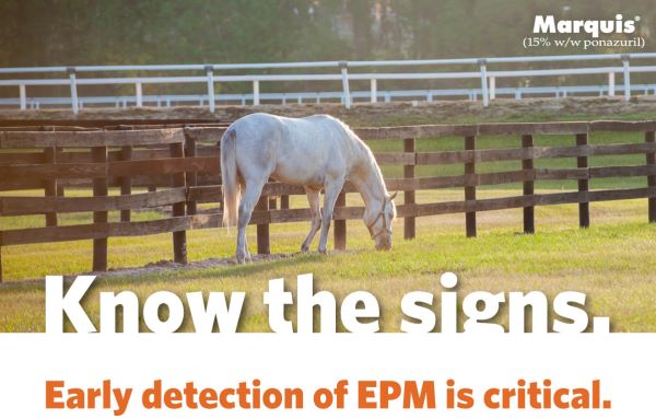 Know the Signs: Early Detection of EPM is Critical