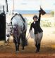 2024 AQHA World Show Entry and Stall Proofing Lists Available