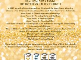 Exciting Mare Power News from the Breeders Halter Futurity