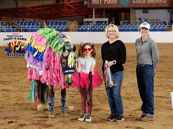 Happy Halloween from The Equine Chronicle!