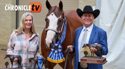 Charlie Cole and Hez Blazin Trouble win Congress Performance Geldings