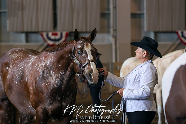 A Comeback Story – 2024 Michigan Apple Blossom Circuit