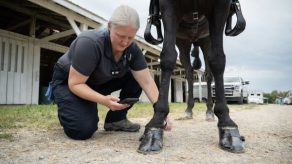 Revisions to Horse Protection Act Effective February 1, 2025