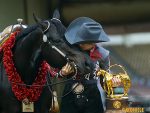 AQHA All-Around Amateur Crowned