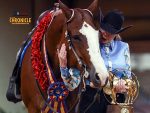 AQHA Select All-Around Crowned