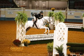 EC Photo of the Day – When I Bestride Him, I Soar