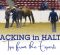 Tracking In Halter: Tips From The Experts