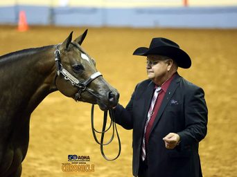 A Gold Three-Peat for Warren English in Select Yearling, 2YO and 3YO Mares