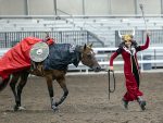 Around the Rings – 2024 Florida Color Horse Club Spooktacular Colors