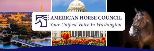 USDA APHIS to host a Horse Protection Final Rule Public Virtual Webinar Dec 13, 2024