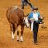 AQHA: 2024 Recap