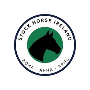 The Launch of Stock Horse Ireland