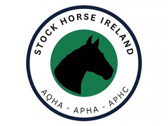 The Launch of Stock Horse Ireland