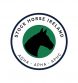 The Launch of Stock Horse Ireland