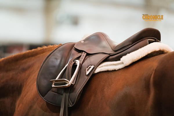 Could Flatter Saddles Improve Welfare in Ridden Horses?