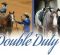 Double Duty – Breeders Discuss The APHA Rule Change