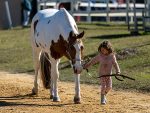 Around the Rings – 2024 Palmetto Classic Open Show