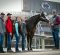 Glo InTheDark Retires to Penn State Broodmare Program