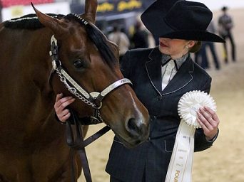 2025 AQHA Level 1 Championships Entries Now Open