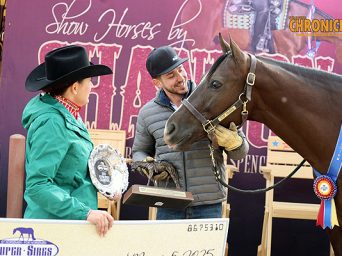 Stop Talking Earns Super Sires Title in Western Riding Debut with Spencer Groth