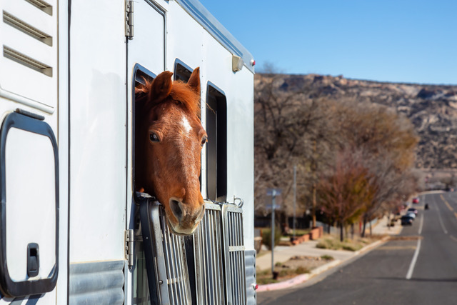 More than ‘Four on the Floor’ Course with Equine Guelph Horse Trailer Safety