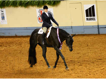 Katerina Mendel and Willys On The Green Score World Championship Title in Hunter Under Saddle at 2013 AQHYA World Show