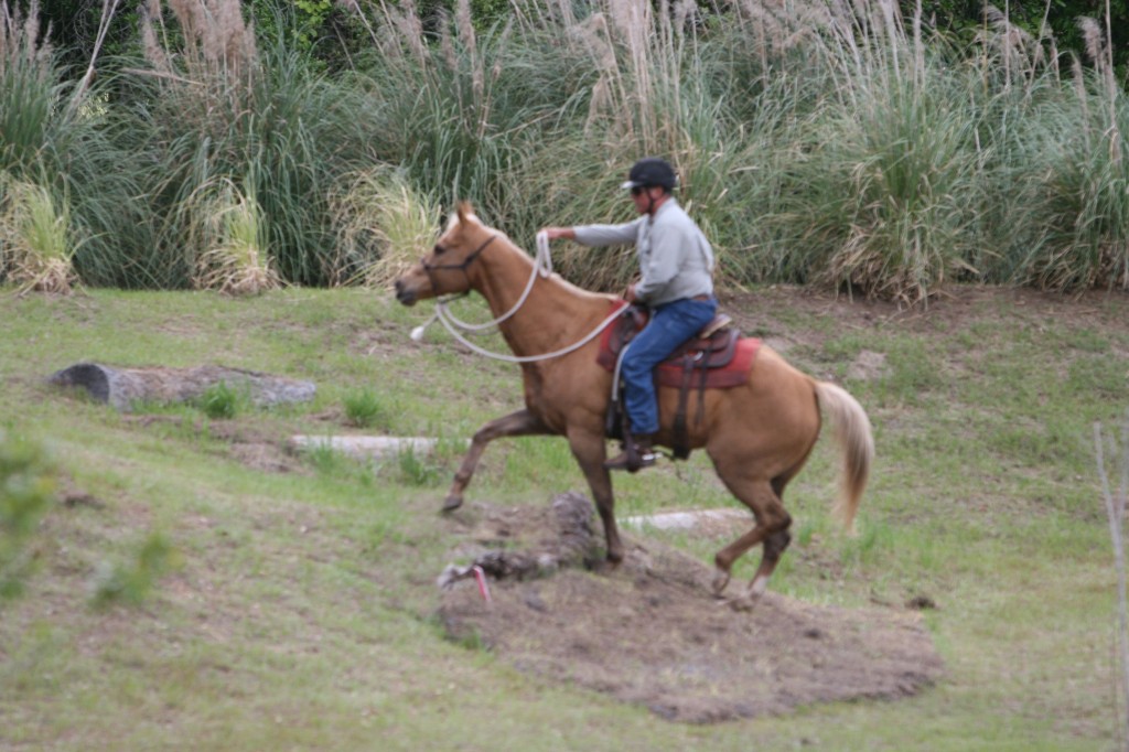 first-series-of-aqha-trail-challenges-ends-in-fl-saw-riders-from