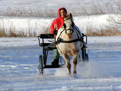 “Dashing Through the Snow In A One-Horse Open Sleigh”… Literally