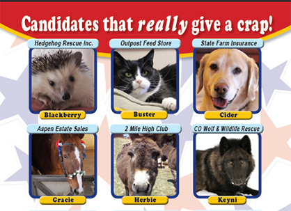 Bloodhound Beats Out Horse and Nine Other Candidates in CO Mayoral Race…Really