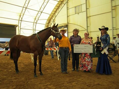 2014 East Coast Halter Futurity Photos and Results