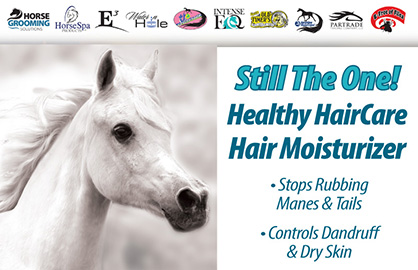 Winter Care For Coats, Manes, and Tails