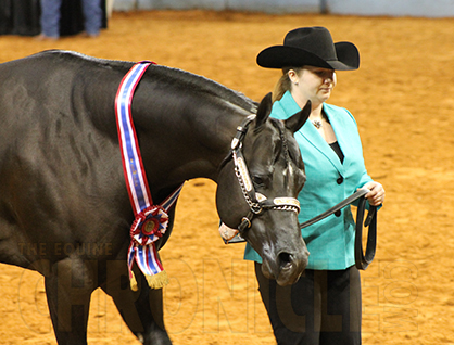Morning Winners at AQHA World Show Include Anderson, Mitchell, Dyer, Schmeck, Headley