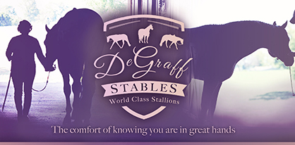 DeGraff Stables Stallion Engagements, Stallion Service Auctions, and Donated Breedings for 2018