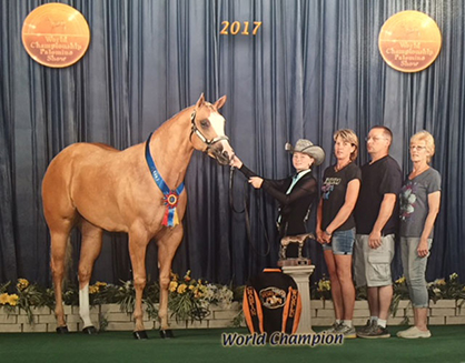 Last Call for Entries – January Internet Horse Auctions