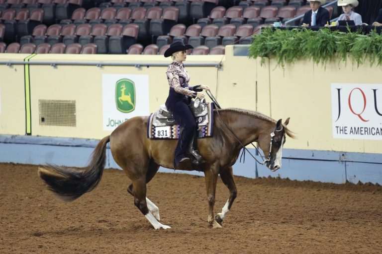 Turning Technique – Teaching The Turn | Equine Chronicle