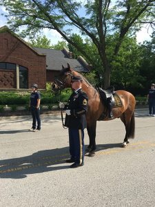 Horses and Healing- Operation Wild Horse | Equine Chronicle