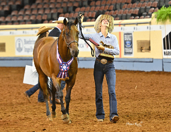 How to Qualify for 2022 AQHYA World Championship Show