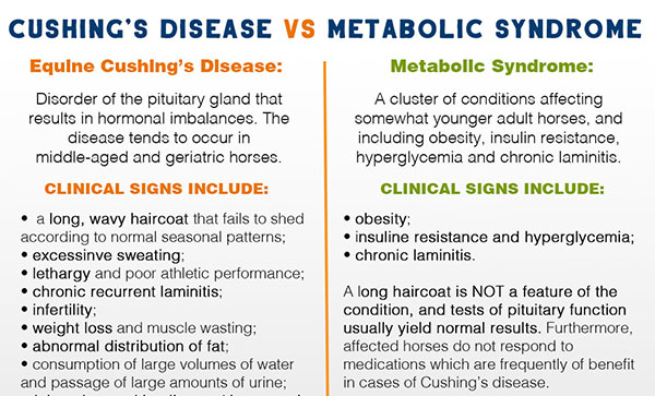 Cushing’s Disease VS Metabolic Syndrome