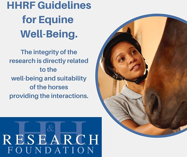Horses and Humans Research Foundation Announces New Committee For 2022- Equine Well-Being Task Force