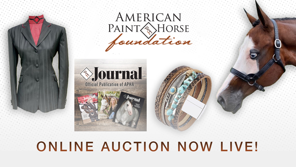 2023 Paint Horse Foundation Silent Auction